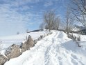 2010-01-29 11-05-19  Derniere promenade-DLe